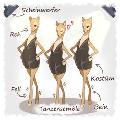 Easy German reader - das kleine Wildschwein - die Rehe